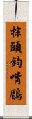 棕頭鉤嘴鶥 Scroll