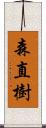 森直樹 Scroll