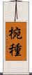 椀種 Scroll