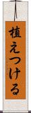 植えつける Scroll