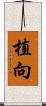 植向 Scroll