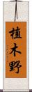 植木野 Scroll