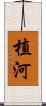 植河 Scroll