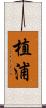 植浦 Scroll