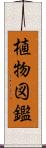植物図鑑 Scroll