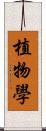 植物學 Scroll