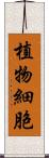 植物細胞 Scroll