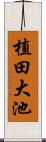 植田大池 Scroll