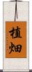 植畑 Scroll