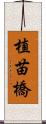 植苗橋 Scroll