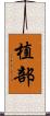 植部 Scroll