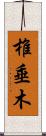 椎垂木 Scroll