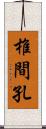 椎間孔 Scroll