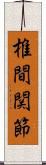 椎間関節 Scroll