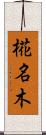 椛名木 Scroll