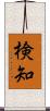検知 Scroll