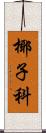 椰子科 Scroll