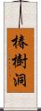 椿樹洞 Scroll