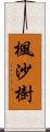 楓沙樹 Scroll