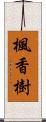 楓香樹 Scroll