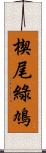 楔尾綠鳩 Scroll