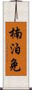 楠泊免 Scroll
