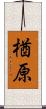 楢原 Scroll