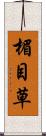 楣 Scroll