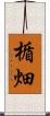 楯畑 Scroll