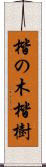 楷の木 Scroll