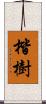 楷樹 Scroll