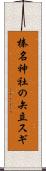 榛名神社の矢立スギ Scroll