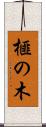 榧の木 Scroll