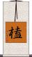 榼 Scroll