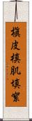 槇皮 Scroll