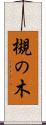 槻の木 Scroll