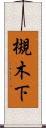 槻木下 Scroll