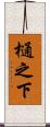樋之下 Scroll