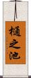 樋之池 Scroll