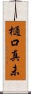 樋口真未 Scroll