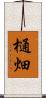 樋畑 Scroll