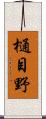 樋目野 Scroll