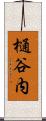 樋谷内 Scroll