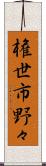 権世市野々 Scroll