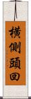 横側頭回 Scroll