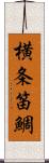 横条笛鯛 Scroll