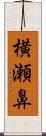 横瀬鼻 Scroll