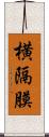 横隔膜 Scroll