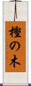 樫の木 Scroll