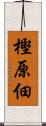 樫原佃 Scroll